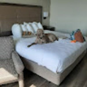 Meet your Posher, Betty sue